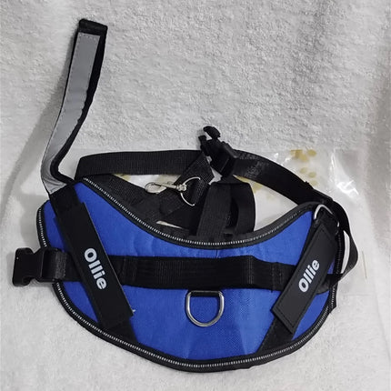 Ollie Personalised No Pull Dog Harness  Size S Blue