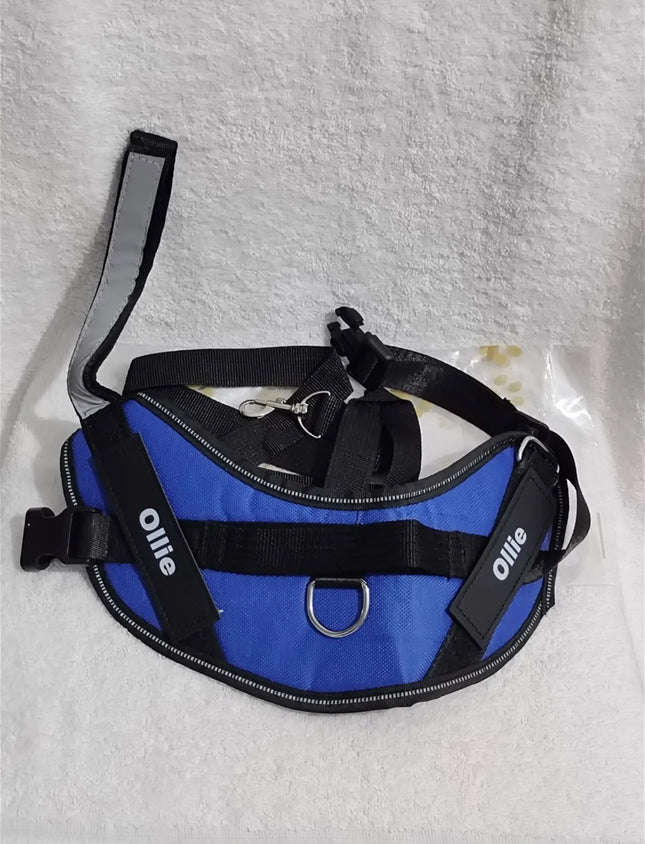 Ollie Personalised No Pull Dog Harness  Size S Blue
