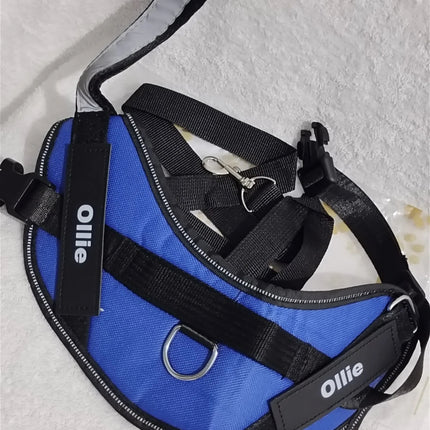 Ollie Personalised No Pull Dog Harness  Size S Blue