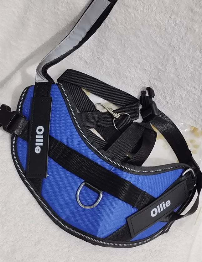 Ollie Personalised No Pull Dog Harness  Size S Blue