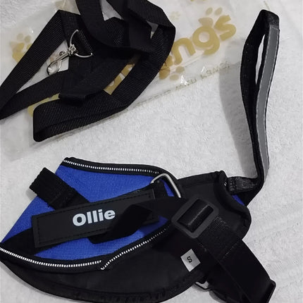 Ollie Personalised No Pull Dog Harness  Size S Blue