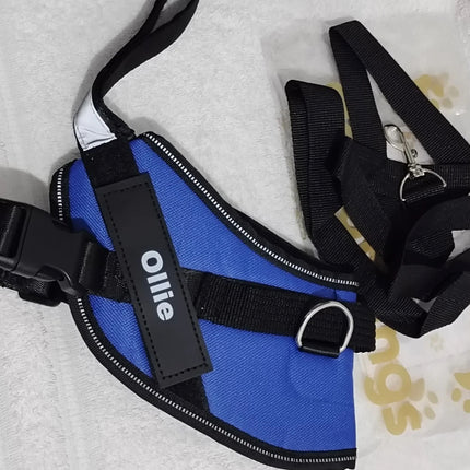 Ollie Personalised No Pull Dog Harness  Size S Blue