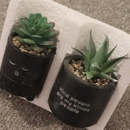 2 Pieces Tiny planters with artificial plant 2PK - matte black