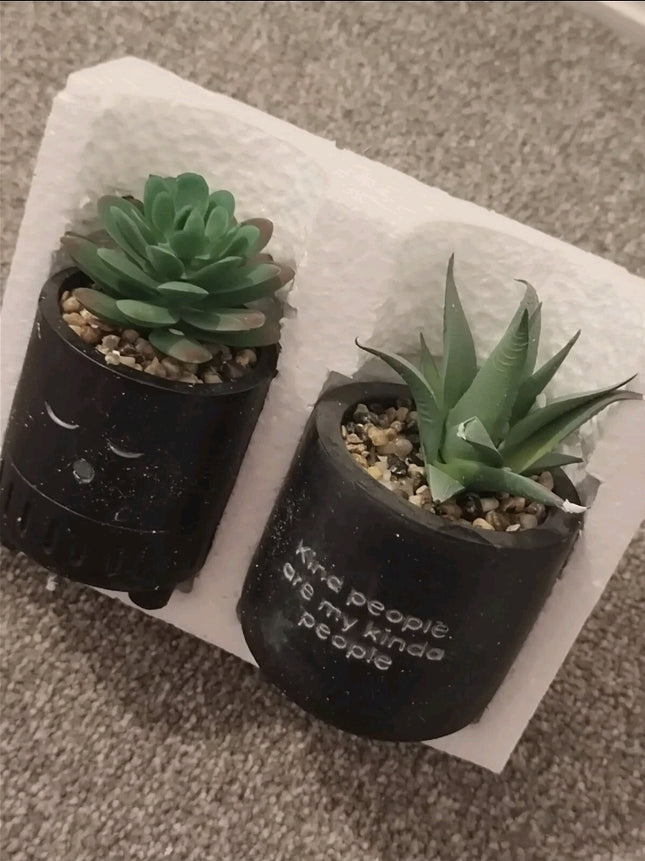 2 Pieces Tiny planters with artificial plant 2PK - matte black