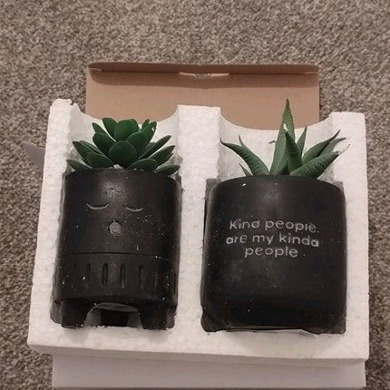 2 Pieces Tiny planters with artificial plant 2PK - matte black