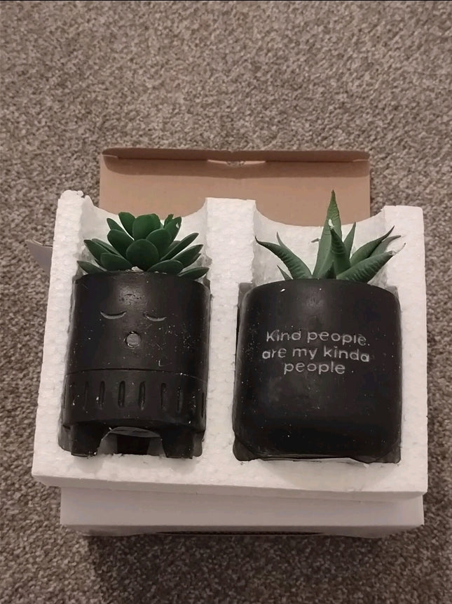 2 Pieces Tiny planters with artificial plant 2PK - matte black