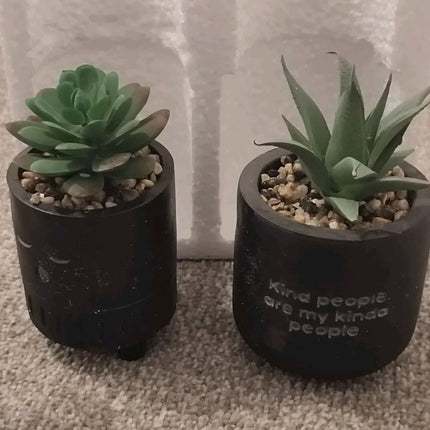 2 Pieces Tiny planters with artificial plant 2PK - matte black