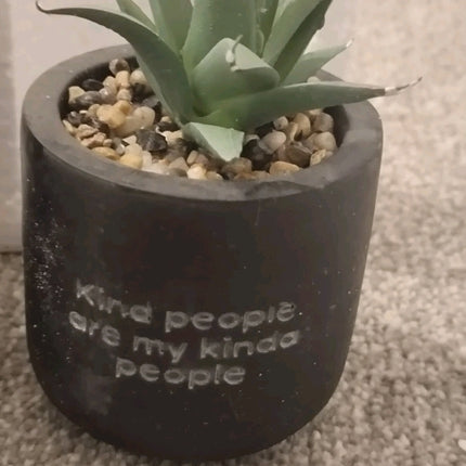 2 Pieces Tiny planters with artificial plant 2PK - matte black